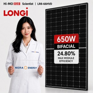 Panou Fotovoltaic LONGI 650M Hi-MO X10 Scientist 650W eficiență 24.06%