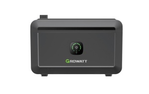 Growatt Noah 2000 battery