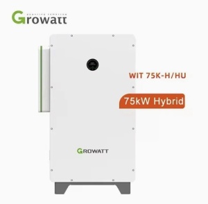Growatt Inverter HIBRID WIT 75K-HU (75kW) 3 fázisú - Img 6