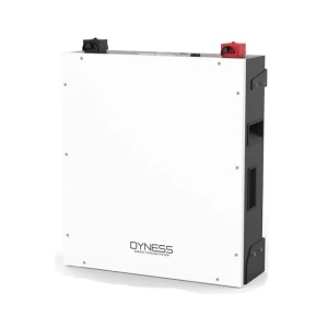Battery Dyness DL5.0C-1C 5.12kwh - Img 2