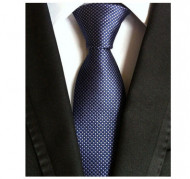 Model 30 - cravata matase naturala 100%, tesatura jaquard