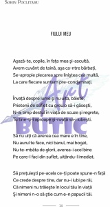 50 - Sorin Poclitru - Img 4