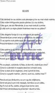 50 - Sorin Poclitru - Img 5
