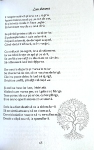 Frânturi din suflet - Doina Penteliuc - Img 2