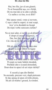 Oameni mici și bere - Sorin Poclitaru - Img 3