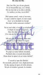 Oameni mici și bere - Sorin Poclitaru - Img 3