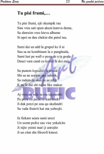 Un zâmbet per/vers - Sorin Poclitaru - Img 3