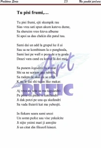 Un zâmbet per/vers - Sorin Poclitaru - Img 3
