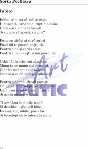 De dragoste sută la sută la sută - Sorin Poclitaru - Img 5