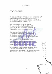 Jucătorul - Sorin Poclitaru - Img 4