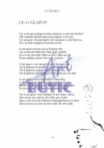 Jucătorul - Sorin Poclitaru - Img 4