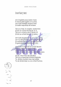 Jucătorul - Sorin Poclitaru - Img 5