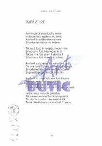 Jucătorul - Sorin Poclitaru - Img 5
