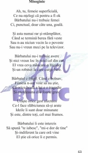 Oameni mici și bere - Sorin Poclitaru - Img 5