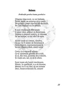 În spatele inimii - Sorin Poclitaru - Img 3