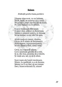 În spatele inimii - Sorin Poclitaru - Img 3