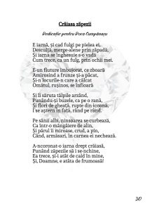 În spatele inimii - Sorin Poclitaru - Img 4