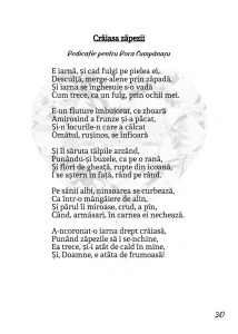 În spatele inimii - Sorin Poclitaru - Img 4
