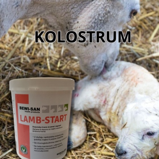 Kolostrum za jagnjad BEWI-SAN Lamb Start