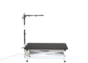 ELEKTRIČNI STO GROOM-X EVOLUTION, 115 X 61 X 36-92 CM