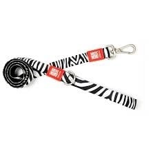 Zebra povodac