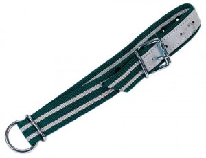 STANDARDNA ZELENO BELA OGRLICA ZA KRAVE, 130 X 4 CM SA D ALKOM