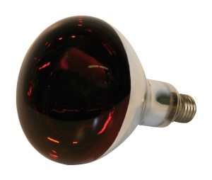 IC - Infrared sijalica kvočka