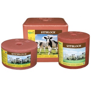 S.I.N. Hellas Vitblock