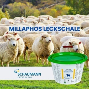 SCHAUMANN MILLAPHOS ATG LECKMASSEZA JAGNJAD I JARAD 20KG