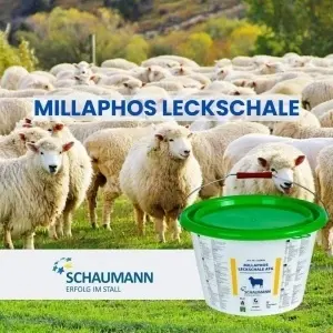 SCHAUMANN MILLAPHOS ATG LECKMASSEZA JAGNJAD I JARAD 20KG