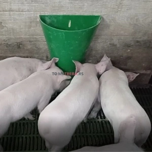 Plastična zidna hranilica za prasiće
