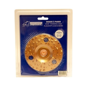 UKAL_DISK_SREDNJE_GUSTINE_1