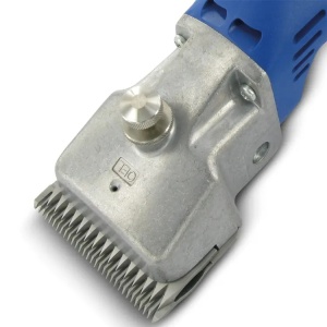 GT474-ELEKTRICNA-MASINA-AESEPULAR-2