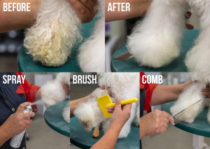 QUICK CLEAN SUVI ŠAMPON SHOW TECH+ 200 ML
