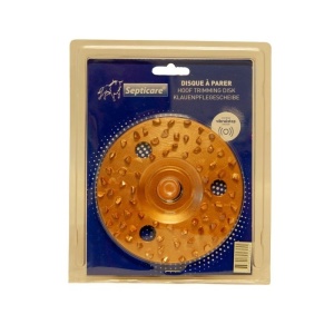 UKAL_DISK_VELIKE_GUSTINE_4