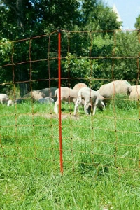 OVINET MREŽA ZA OVCE, 50 M DUŽINE, 108 CM VISINE
