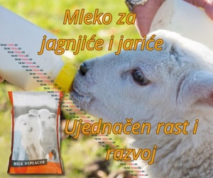 Zamena za mleko za jagnjad i jarad Anilac 24-24