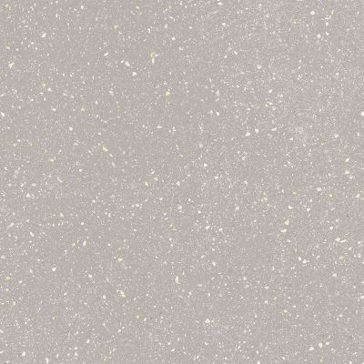 Gresie Moondust Silver Gres, Paradyz Ceramica, mata, rectificata, 59,8x59,8