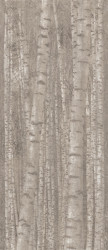 Gresogranit Boost Pro Grove, Decor, rectificata, Atlas Concorde, 120x278