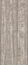 Gresogranit Boost Pro Grove, Decor, rectificata, Atlas Concorde, 120x278 - Img 3