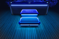 Scari Wellis Smart-In-Step, pentru jacuzzi - Img 2