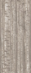 Gresogranit Boost Pro Grove, Decor, rectificata, Atlas Concorde, 120x278 - Img 4
