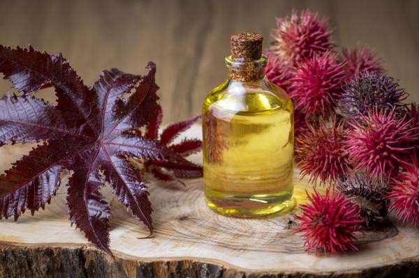 Uleiul de ricin – beneficii, utilizări și precauții