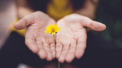 Creme pentru mâini crăpate și uscate: 6 produse cu efect îndelungat