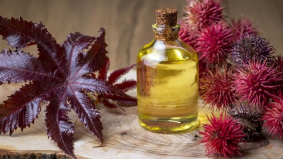 Uleiul de ricin – beneficii, utilizări și precauții