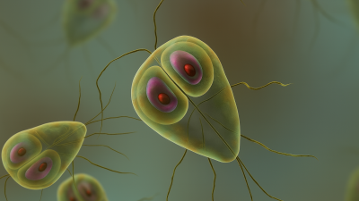 Giardia la copii și adulți: Tot ce trebuie să știi despre acest parazit intestinal