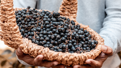 Aronia – Beneficii, nutrienți, studii și moduri de consum