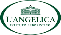 L’ Angelica