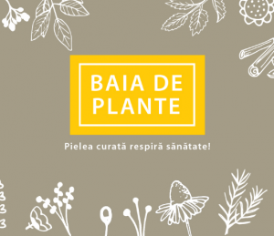 Baia de Plante