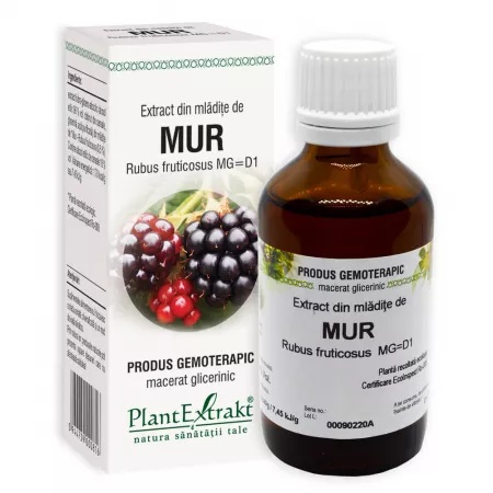 Extract din mladite de mur, 50ml, PlantExtrakt